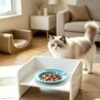 喂食器1 Acrylic Pet feeder