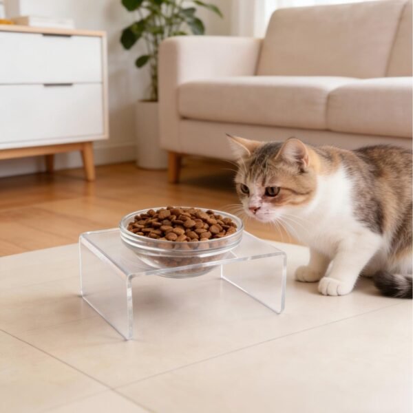 Acrylic Pet feeder
