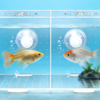 鱼缸 pet cage